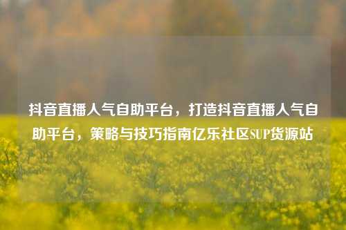 抖音直播人气自助平台，打造抖音直播人气自助平台	，策略与技巧指南亿乐社区SUP货源站  第1张