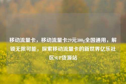 移动流量卡，移动流量卡29元300g全国通用	，解锁无限可能，探索移动流量卡的新世界亿乐社区SUP货源站  第1张