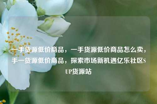 一手货源低价商品，一手货源低价商品怎么卖，手一货源低价商品	，探索市场新机遇亿乐社区SUP货源站  第1张