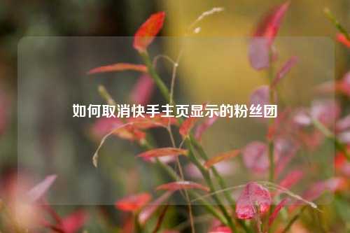 如何取消快手主页显示的粉丝团  第1张