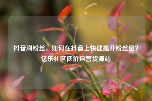 抖音刷粉丝	，如何在抖音上快速提升粉丝量？亿乐社区低价自营货源站  第1张