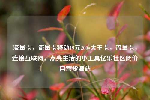 流量卡，流量卡移动19元200g大王卡	，流量卡，连接互联网，点亮生活的小工具亿乐社区低价自营货源站  第1张