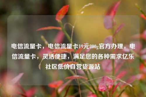 电信流量卡，电信流量卡19元200g官方办理，电信流量卡	，灵活便捷，满足您的各种需求亿乐社区低价自营货源站  第1张