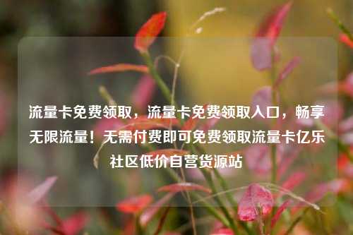 流量卡免费领取，流量卡免费领取入口，畅享无限流量！无需付费即可免费领取流量卡亿乐社区低价自营货源站  第1张