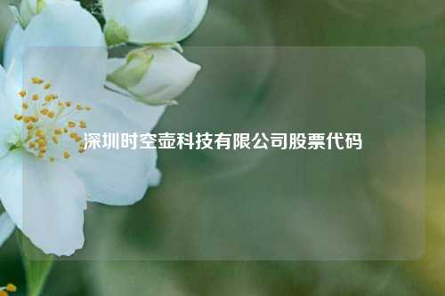 深圳时空壶科技有限公司股票代码  第1张