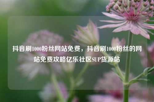 抖音刷1000粉丝网站免费，抖音刷1000粉丝的网站免费攻略亿乐社区SUP货源站  第1张