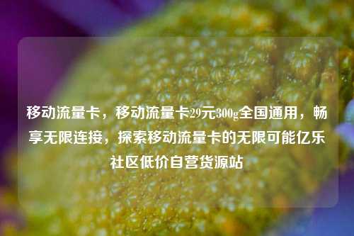 移动流量卡，移动流量卡29元300g全国通用，畅享无限连接	，探索移动流量卡的无限可能亿乐社区低价自营货源站  第1张