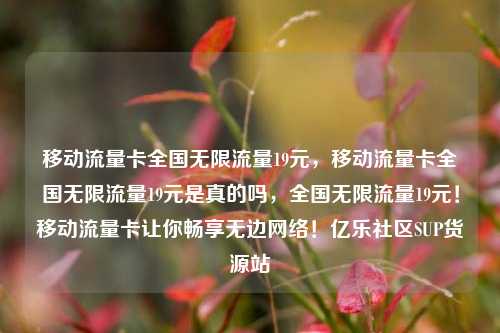 移动流量卡全国无限流量19元，移动流量卡全国无限流量19元是真的吗，全国无限流量19元！移动流量卡让你畅享无边网络！亿乐社区SUP货源站  第1张