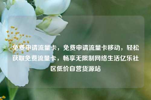 免费申请流量卡	，免费申请流量卡移动，轻松获取免费流量卡，畅享无限制网络生活亿乐社区低价自营货源站  第1张
