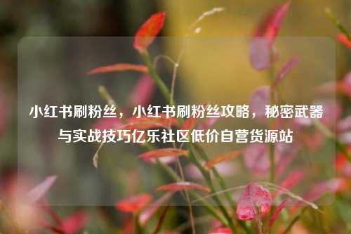小红书刷粉丝，小红书刷粉丝攻略，秘密武器与实战技巧亿乐社区低价自营货源站  第1张