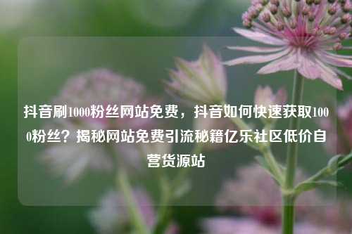 抖音刷1000粉丝网站免费，抖音如何快速获取1000粉丝？揭秘网站免费引流秘籍亿乐社区低价自营货源站  第1张