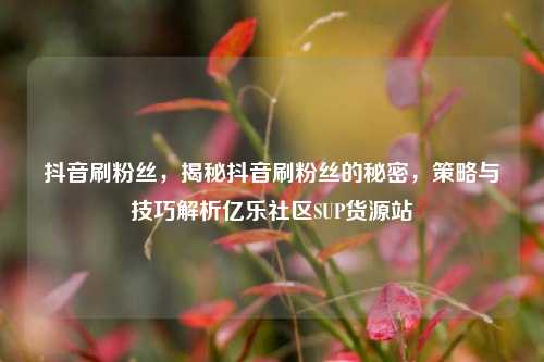 抖音刷粉丝	，揭秘抖音刷粉丝的秘密，策略与技巧解析亿乐社区SUP货源站  第1张