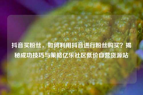 抖音买粉丝，如何利用抖音进行粉丝购买？揭秘成功技巧与策略亿乐社区低价自营货源站  第1张
