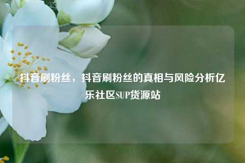 抖音刷粉丝，抖音刷粉丝的真相与风险分析亿乐社区SUP货源站  第1张