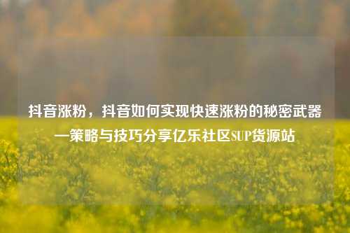 抖音涨粉，抖音如何实现快速涨粉的秘密武器—策略与技巧分享亿乐社区SUP货源站  第1张