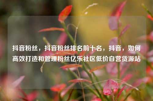 抖音粉丝，抖音粉丝排名前十名，抖音，如何高效打造和管理粉丝亿乐社区低价自营货源站  第1张