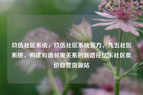 玖伍社区系统，玖伍社区系统官方，九五社区系统，构建和谐邻里关系的新路径亿乐社区低价自营货源站  第1张