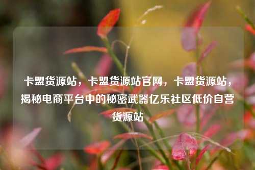 卡盟货源站，卡盟货源站官网，卡盟货源站	，揭秘电商平台中的秘密武器亿乐社区低价自营货源站  第1张