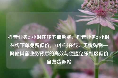 抖音业务24小时在线下单免费，抖音业务24小时在线下单免费低价，24小时在线、无忧购物—揭秘抖音业务背后的高效与便捷亿乐社区低价自营货源站  第1张