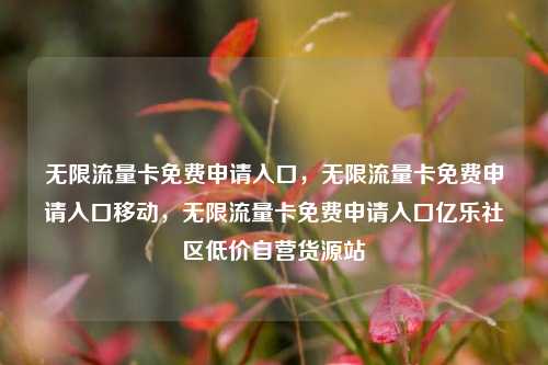 无限流量卡免费申请入口	，无限流量卡免费申请入口移动，无限流量卡免费申请入口亿乐社区低价自营货源站  第1张