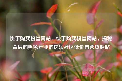快手购买粉丝网站，快手购买粉丝网站，揭秘背后的黑色产业链亿乐社区低价自营货源站  第1张