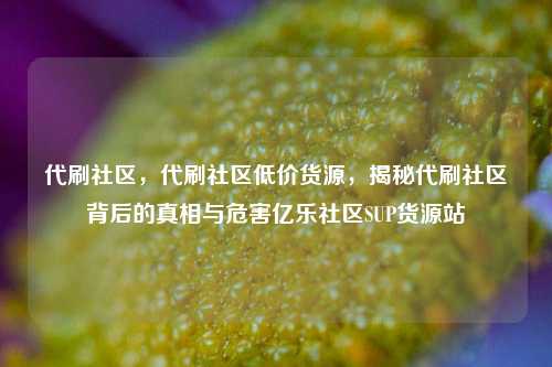 代刷社区，代刷社区低价货源，揭秘代刷社区背后的真相与危害亿乐社区SUP货源站  第1张