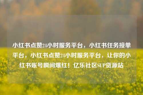 小红书点赞24小时服务平台	，小红书任务接单平台，小红书点赞24小时服务平台，让你的小红书账号瞬间爆红！亿乐社区SUP货源站  第1张