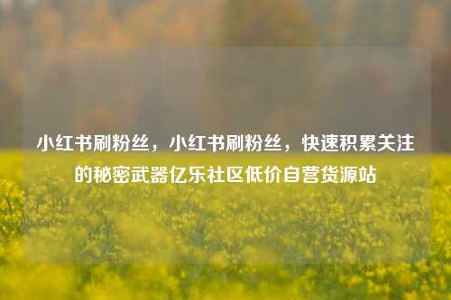 小红书刷粉丝	，小红书刷粉丝，快速积累关注的秘密武器亿乐社区低价自营货源站  第1张