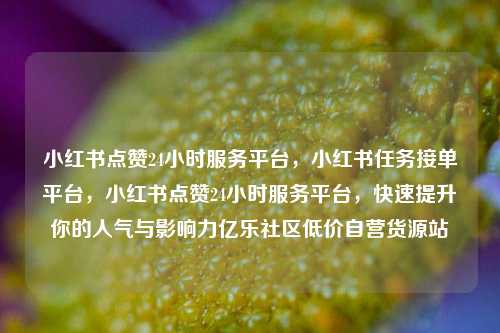 小红书点赞24小时服务平台，小红书任务接单平台	，小红书点赞24小时服务平台，快速提升你的人气与影响力亿乐社区低价自营货源站  第1张