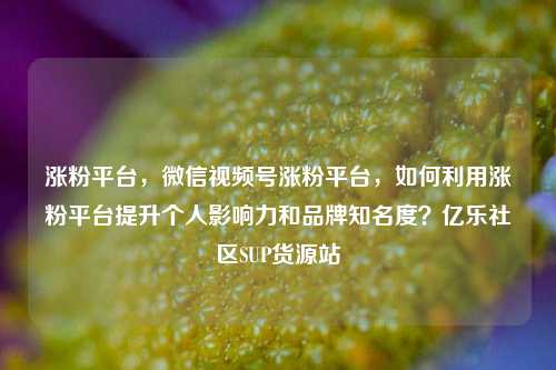涨粉平台，微信视频号涨粉平台，如何利用涨粉平台提升个人影响力和品牌知名度？亿乐社区SUP货源站  第1张