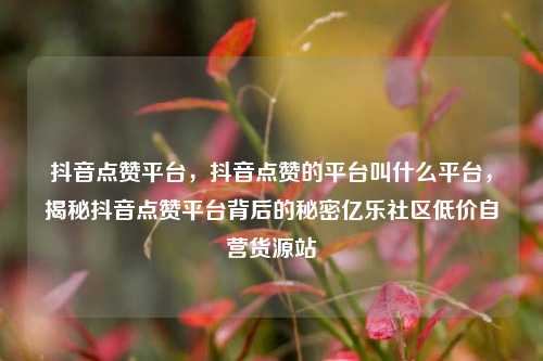 抖音点赞平台，抖音点赞的平台叫什么平台	，揭秘抖音点赞平台背后的秘密亿乐社区低价自营货源站  第1张