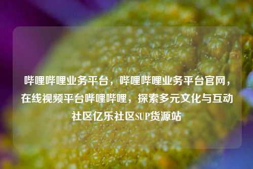 哔哩哔哩业务平台，哔哩哔哩业务平台官网	，在线视频平台哔哩哔哩，探索多元文化与互动社区亿乐社区SUP货源站  第1张