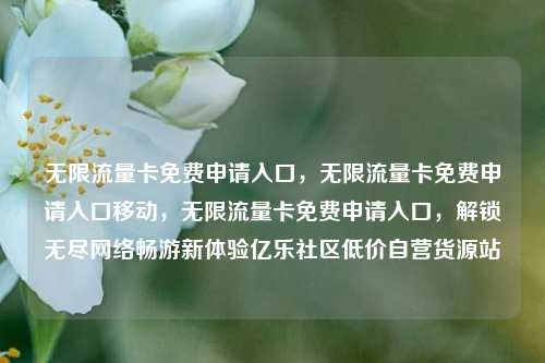 无限流量卡免费申请入口，无限流量卡免费申请入口移动，无限流量卡免费申请入口	，解锁无尽网络畅游新体验亿乐社区低价自营货源站  第1张