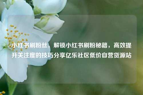 小红书刷粉丝	，解锁小红书刷粉秘籍，高效提升关注度的技巧分享亿乐社区低价自营货源站  第1张