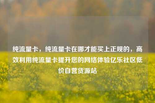 纯流量卡，纯流量卡在哪才能买上正规的，高效利用纯流量卡提升您的网络体验亿乐社区低价自营货源站  第1张
