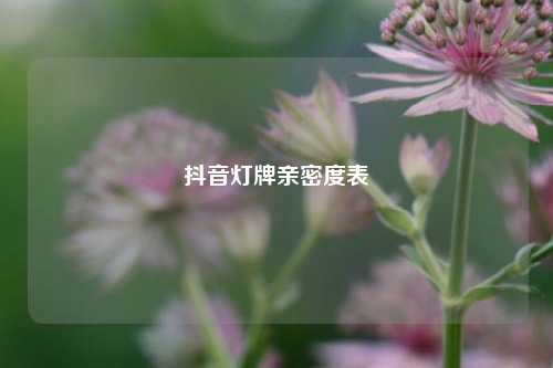 抖音灯牌亲密度表  第1张