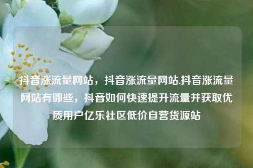 抖音涨流量网站	，抖音涨流量网站,抖音涨流量网站有哪些，抖音如何快速提升流量并获取优质用户亿乐社区低价自营货源站  第1张