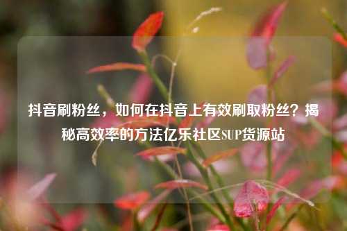 抖音刷粉丝，如何在抖音上有效刷取粉丝？揭秘高效率的方法亿乐社区SUP货源站  第1张