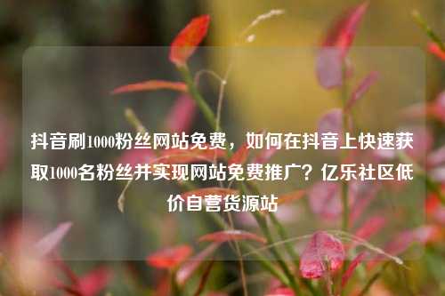 抖音刷1000粉丝网站免费，如何在抖音上快速获取1000名粉丝并实现网站免费推广？亿乐社区低价自营货源站  第1张