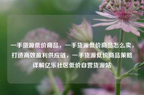 一手货源低价商品，一手货源低价商品怎么卖	，打造高效盈利供应链，一手货源低价商品策略详解亿乐社区低价自营货源站  第1张