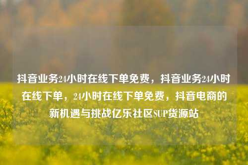 抖音业务24小时在线下单免费，抖音业务24小时在线下单，24小时在线下单免费	，抖音电商的新机遇与挑战亿乐社区SUP货源站  第1张