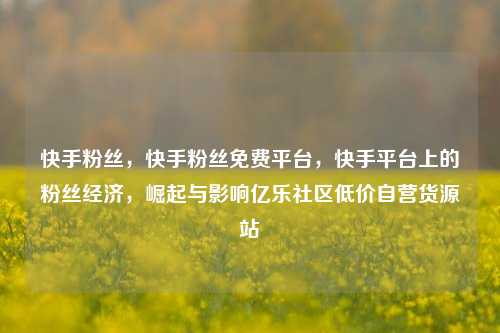 快手粉丝，快手粉丝免费平台，快手平台上的粉丝经济	，崛起与影响亿乐社区低价自营货源站  第1张